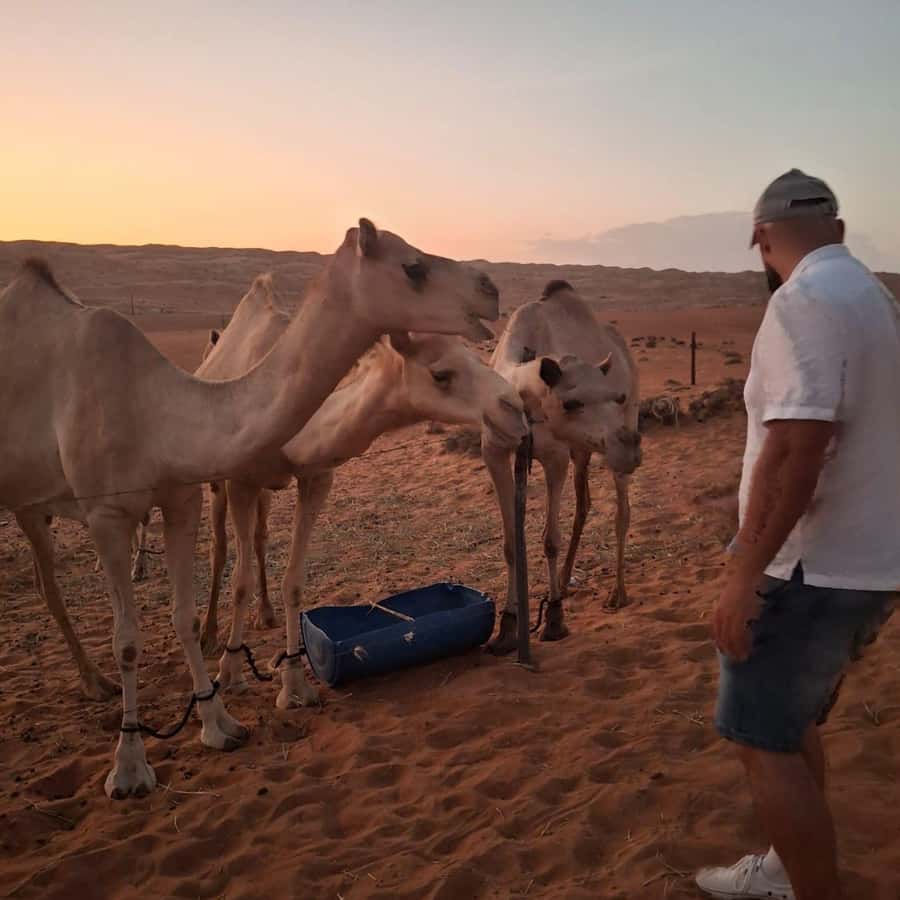 Muscat: Bidiya Desert Sunset Camel Ride with Transfer - The two-hour journey from Muscat