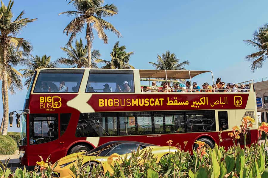Muscat: Big Bus Hop-On Hop-Off Sightseeing Tour - The National Museum and Bait Al Zubair Museum