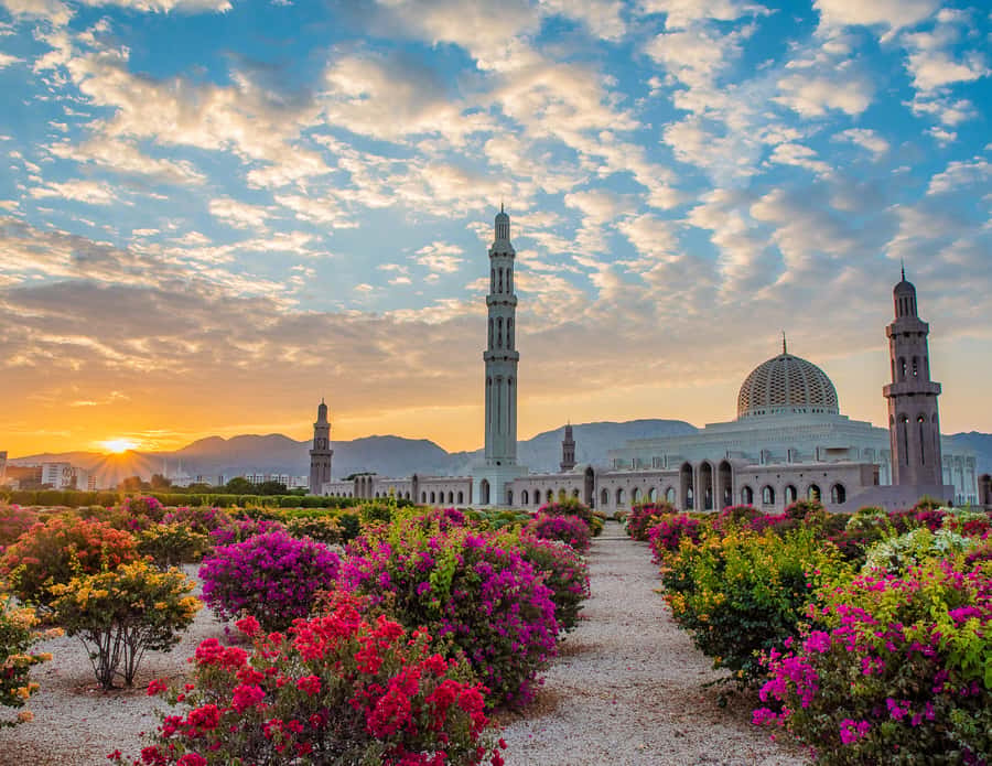 Muscat: Budget Friendly City Tour - What this Muscat tour does well in four hours