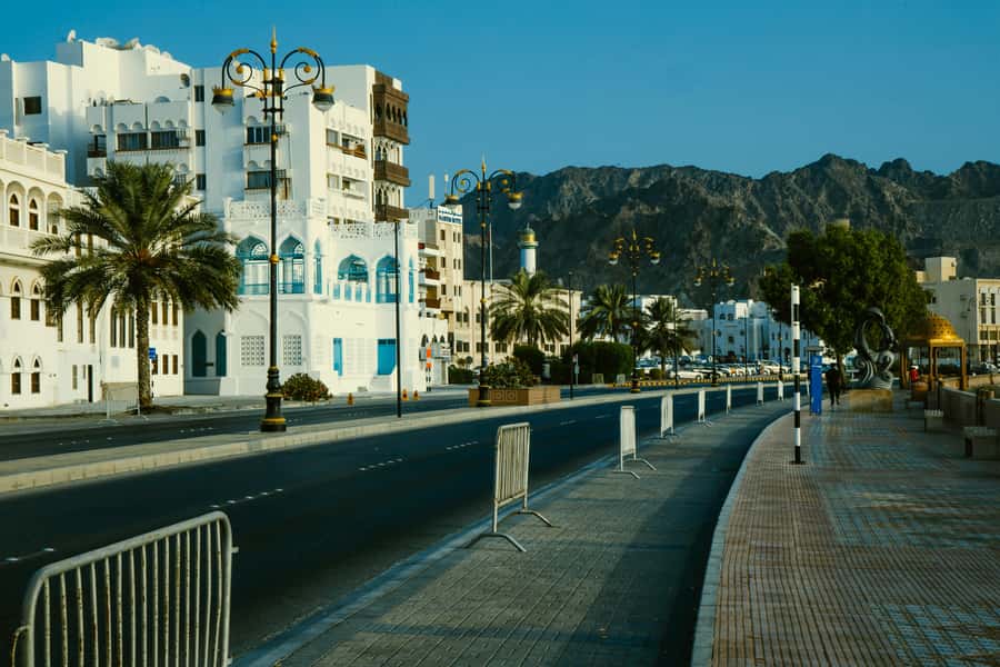 Muscat by Night Sightseeing Tour - Booking details worth checking before you commit
