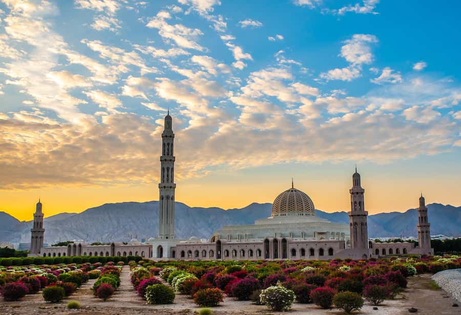 Muscat: City Highlights Tour with Optional Transfers - Why this is a smart first look at Muscat