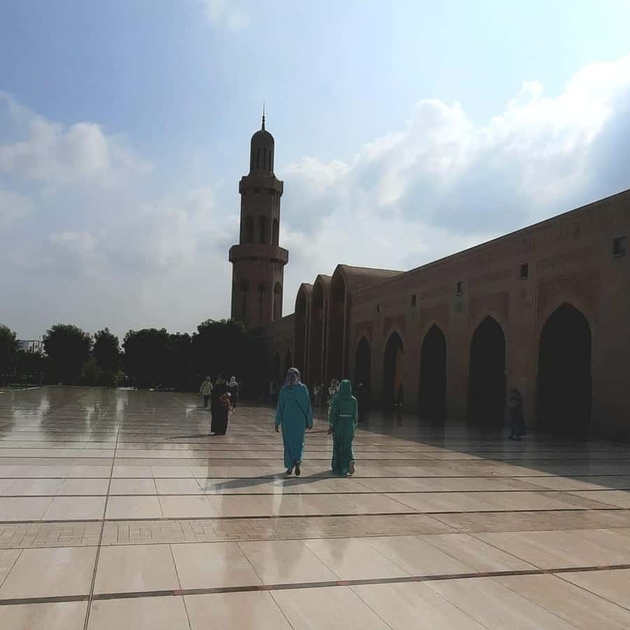 Muscat: City Highlights Tour with Optional Transfers - Guides, group size, and the feel of the day