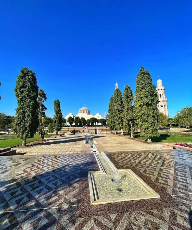 Muscat City Tour and life with Omani Guy ( luxury car). - Is $100 per person good value?