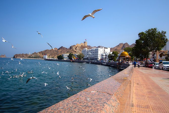 Muscat City Tour Full Day - Private Guided Tour from Muscat - What $200 per person really buys you