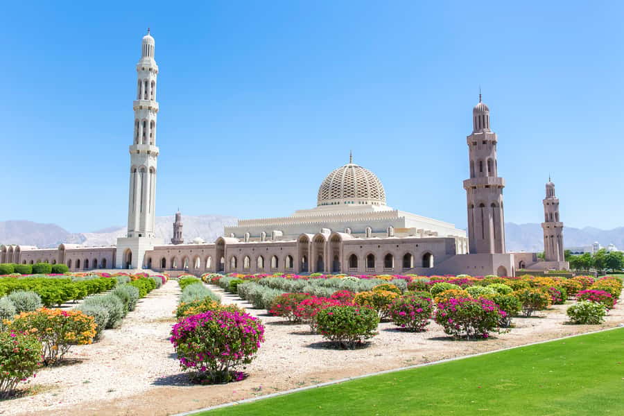 Muscat: City Tour of Grand Mosque, Old Souqs, Museum, & Fort - Bait Al Zubair Museum and Omani culture