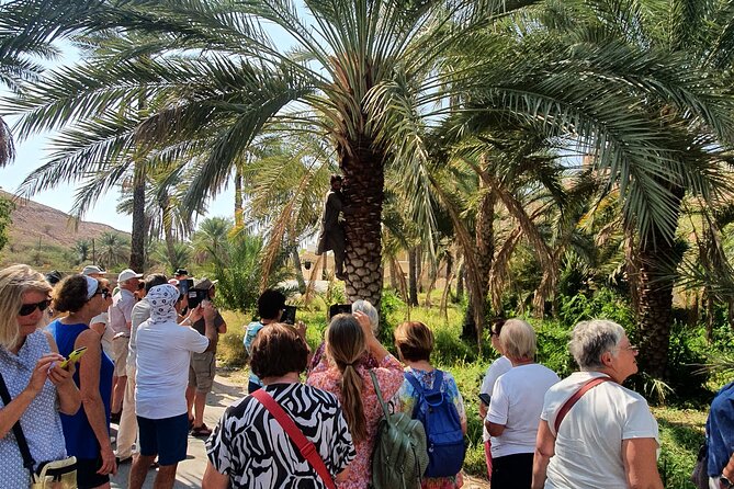 Muscat City Tour with All Language Guide - Sultan Qaboos Grand Mosque: the essential first stop