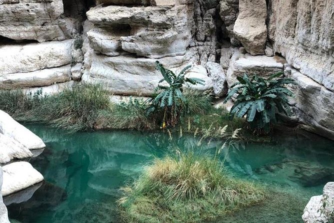 Muscat City & Wadi Shab Full-Day Adventure - Al Alam Palace in Old Muscat