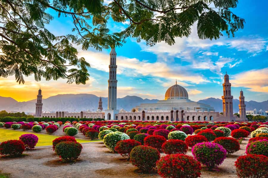 Muscat: Day Tour with Omani Lunch, Hotel Pickup, and Airfare - Why the flight-and-road plan works