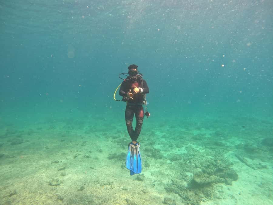 Muscat: Daymaniat Islands Scuba Diving for Beginners - What the $194 price really covers