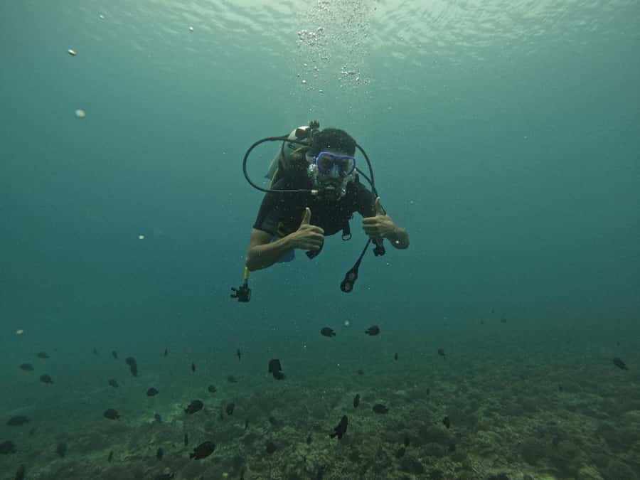 Muscat: Daymaniat Islands Scuba Diving for Beginners - Who will enjoy this most