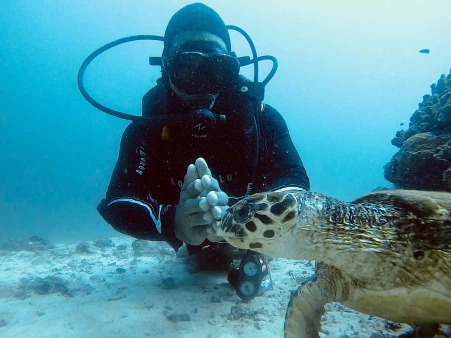 Muscat: Daymaniat Islands Scuba Diving for Beginners - The boat ride to the Daymaniat Islands