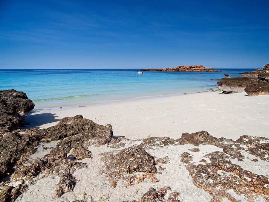 Muscat: Daymaniat Islands Snorkeling Tour with Refreshments - How the crew shapes the day