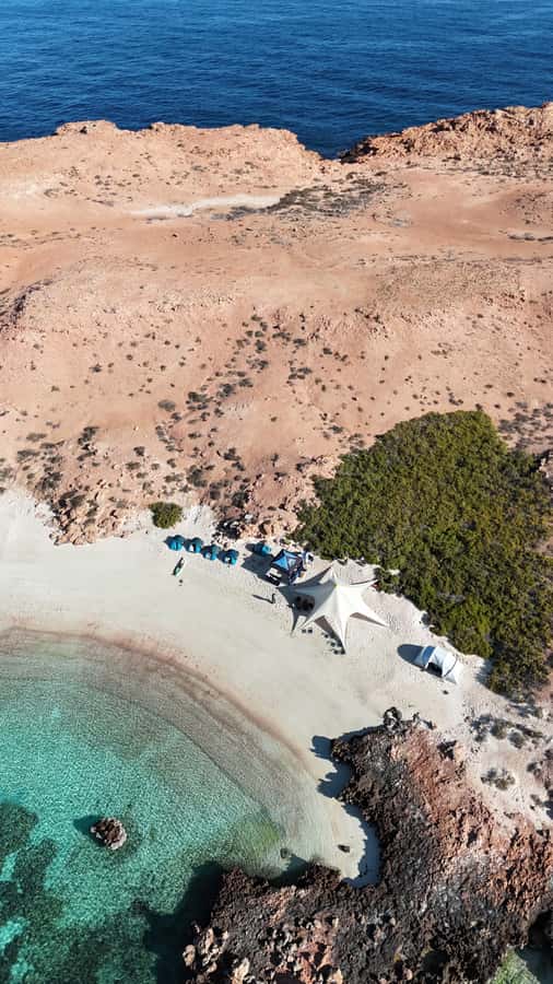 Muscat: Daymaniat Islands Tour - Swimming with turtles and reef fish