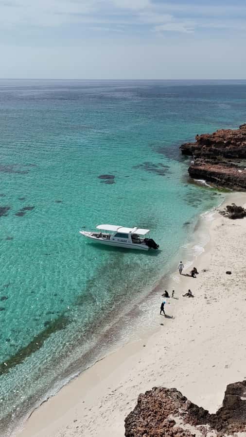 Muscat: Daymaniat Islands Tour - Guides who shape the day