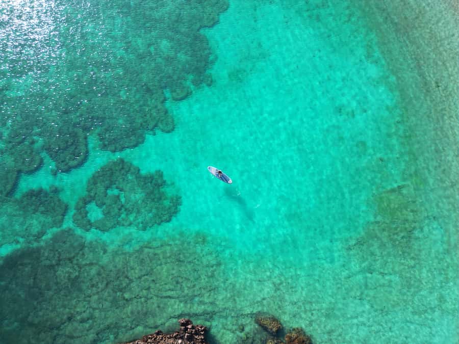 Muscat: Daymaniat Islands Tour - Three water stops, if conditions allow
