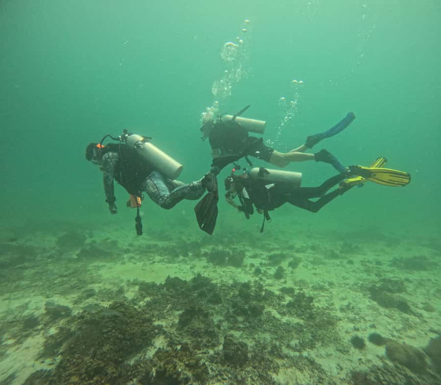 Muscat: Daymaniat Islands Try Scuba Diving - Choosing a scuba program for your level