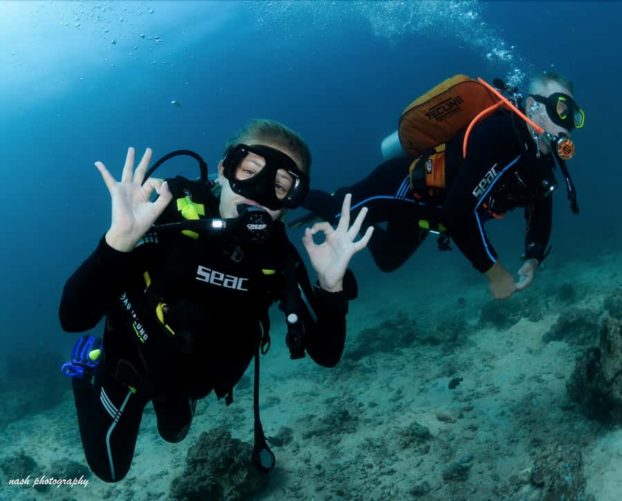 MUSCAT: Daymaniyat Island Snorkeling & Try-Dive + BBQ Lunch - Snorkeling at two Daymaniyat sites