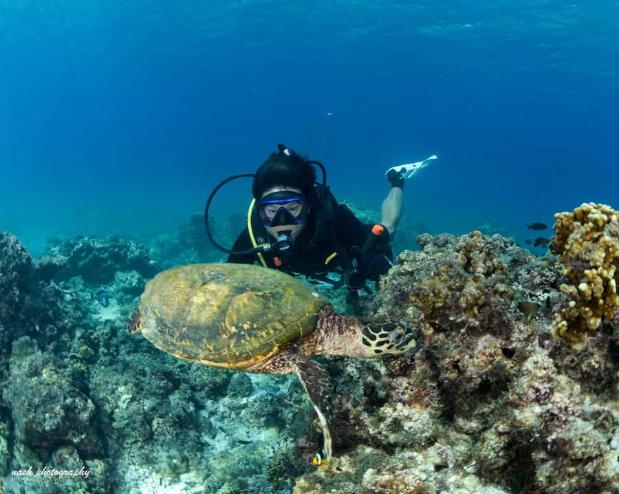MUSCAT: Daymaniyat Island Snorkeling & Try-Dive + BBQ Lunch - The boat ride to Oman’s island park