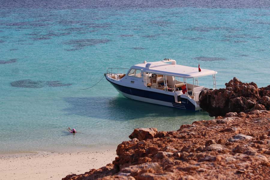 Muscat: Daymaniyat Island Snorkeling with Turtles Tour - Key points to know before booking