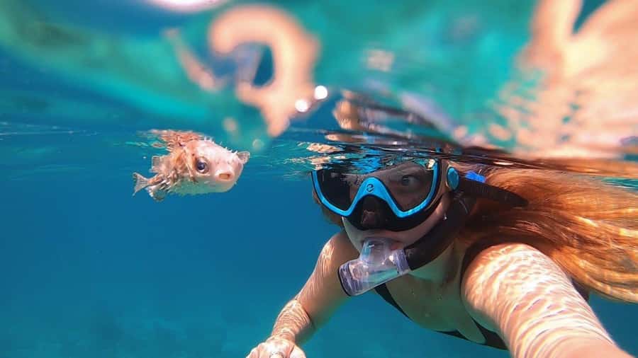 Muscat: Daymaniyat Island Snorkeling with Turtles Tour - The van and speedboat transfers