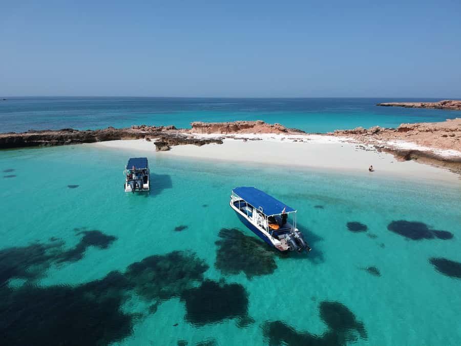 Muscat: Daymaniyat Island Snorkeling with Turtles Tour - Who should book this outing?