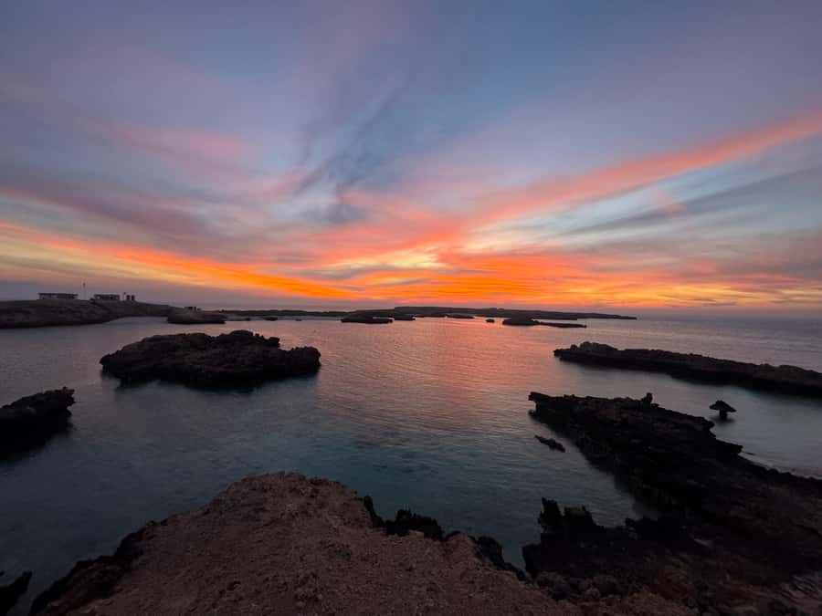 Muscat: Daymaniyat Islands Snorkeling Tour - Choosing the 8:30 AM or 1:30 PM trip