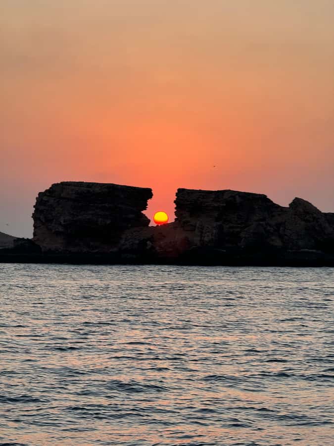 Muscat: Daymaniyat Islands Snorkeling Tour - Is the $59 price good value?