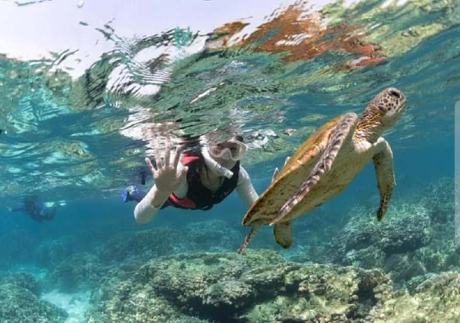 Muscat: Daymaniyat Islands Snorkeling Trip with BBQ Lunch - Key things to know before you book