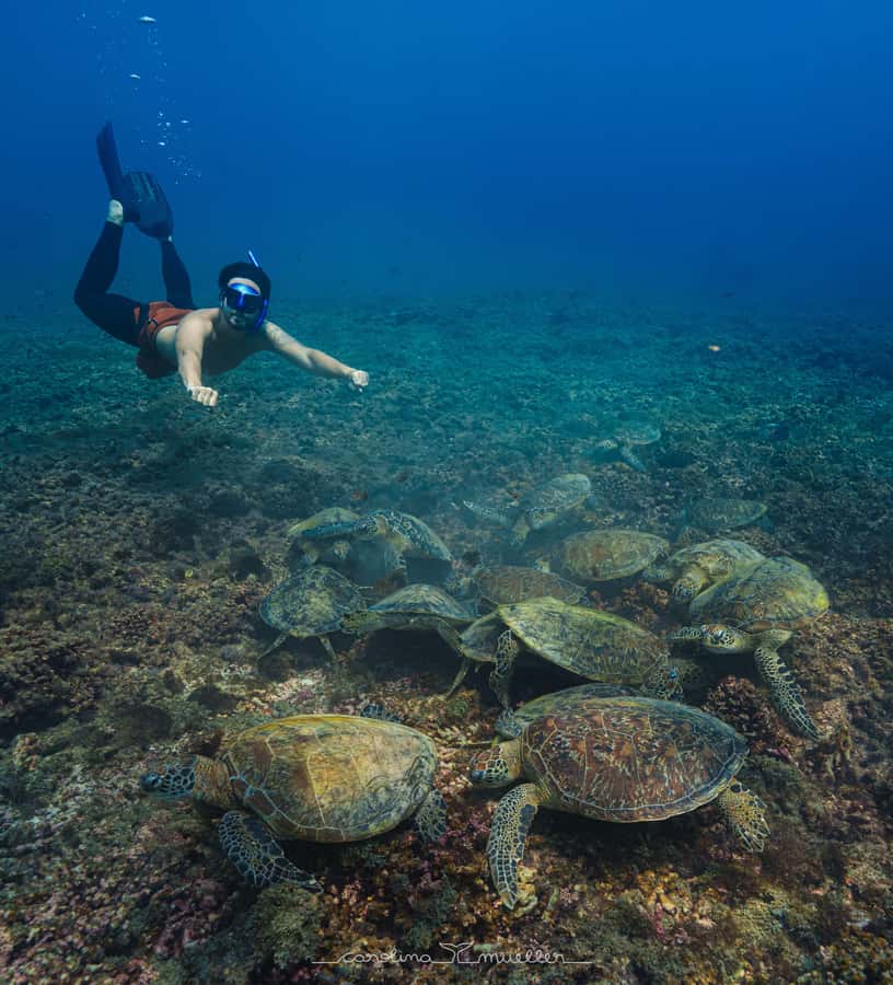 Muscat: Daymaniyat Islands Snorkeling Trip with BBQ Lunch - Why Daymaniyat Islands are worth the boat ride
