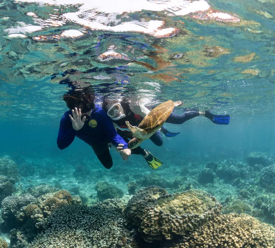 Muscat: Daymaniyat Islands Snorkeling Trip with BBQ Lunch - The main drawback: group size and waiting time