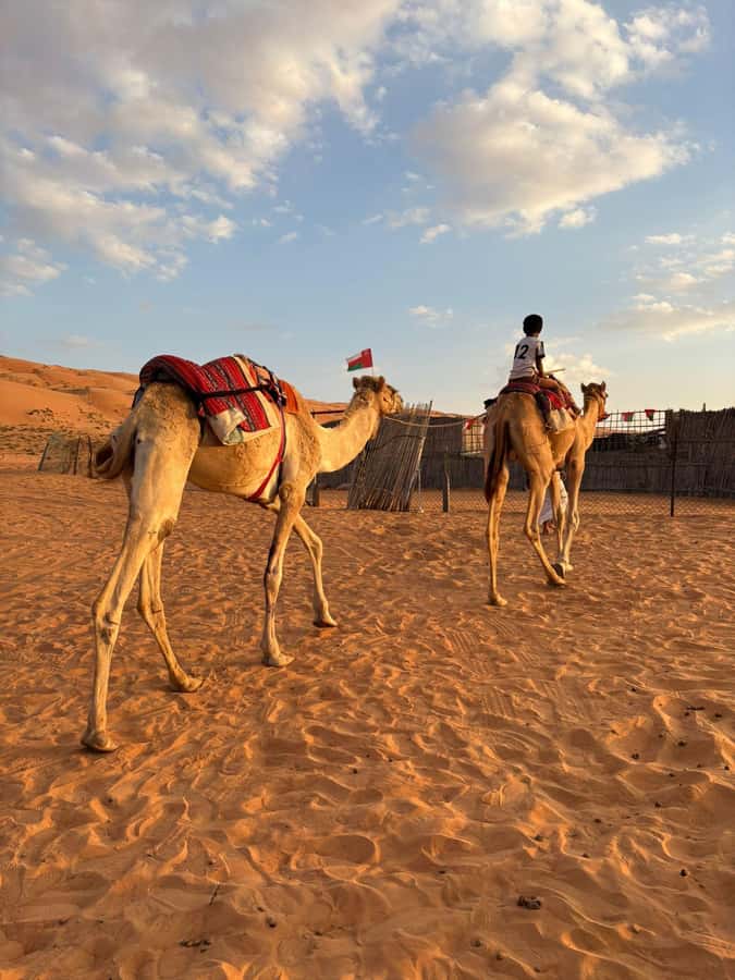 Muscat: Desert Sunset &Wadi Bnai Khalid Full-Day Tour+Lunch - Two very different sides of Oman in one day