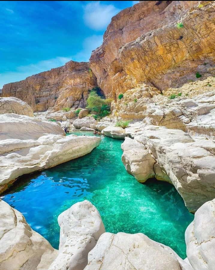 Muscat: Desert Sunset &Wadi Bnai Khalid Full-Day Tour+Lunch - Who will enjoy this day most