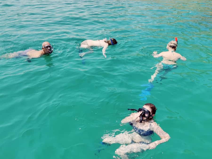 Muscat: Dolphin Watch & Snorkel Excursion - What the coastal scenery adds