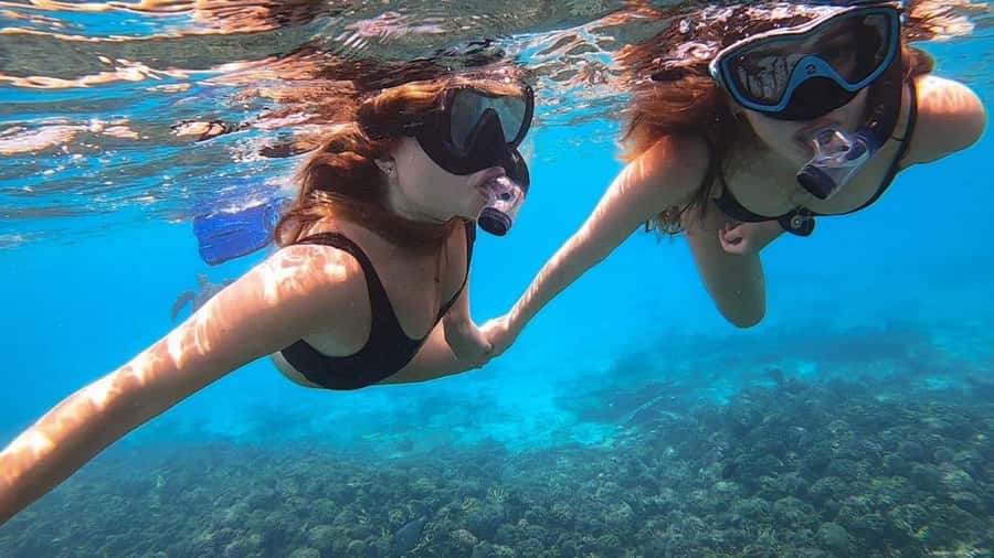 Muscat: Dolphin Watch & Snorkel Excursion - Practical tips for a smoother morning