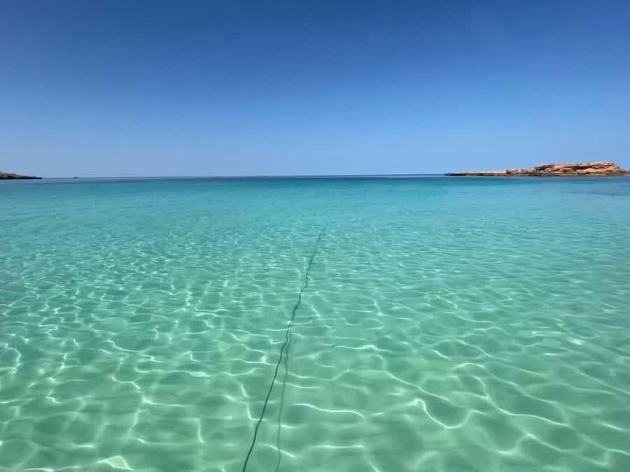 Muscat: Dolphin Watch & Snorkeling - Dolphins first, snorkeling second