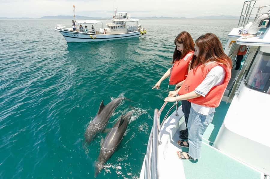 Muscat: Dolphin Watching and Snorkeling Tour - Key points to know before you book