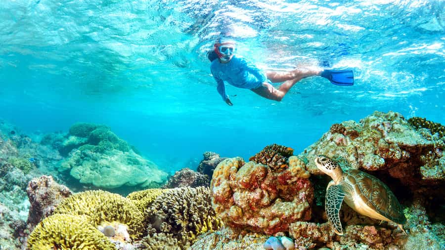 Muscat: Dolphin Watching and Snorkeling Tour - Setting out from Muscat for the coast