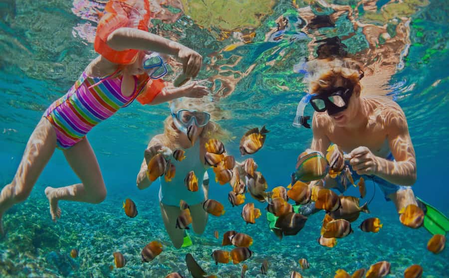 Muscat: Dolphin Watching and Snorkeling Tour - Snorkeling near Bandar Khiran Bay