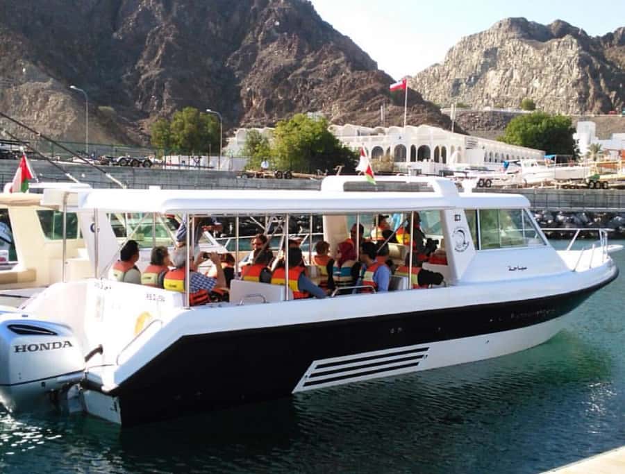 Muscat: Dolphin Watching and Snorkeling Tour - Should you book this tour?