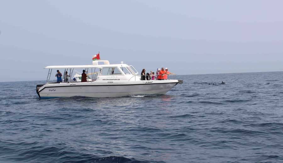 Muscat: Dolphin Watching and Snorkeling Tour By Speed Boat - Bandar Khiran or Muscat Bay for snorkeling