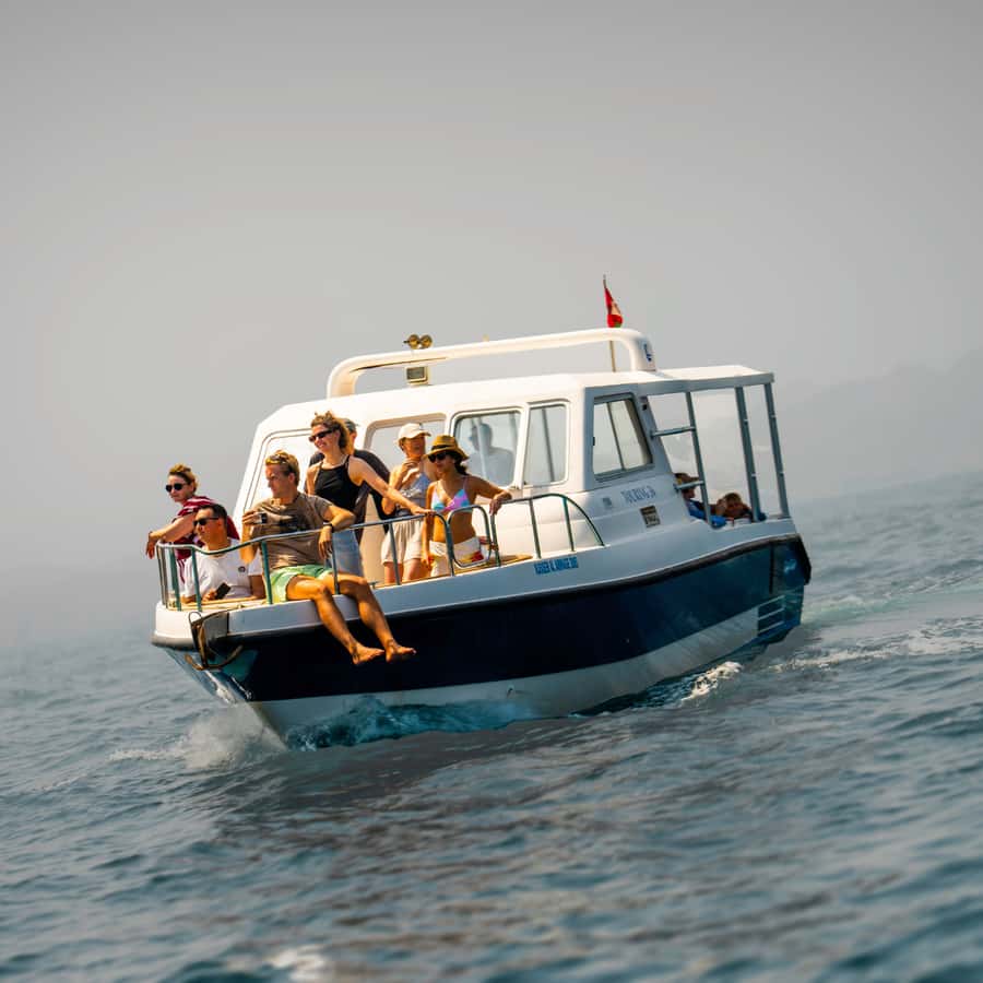 Muscat: Dolphin Watching and Snorkeling Trip - One hour of snorkeling among fish and corals