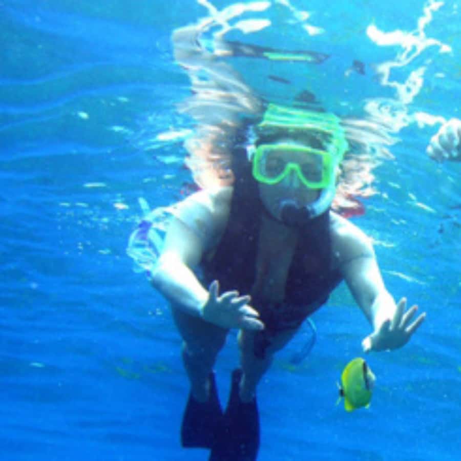 Muscat: Dolphin Watching and Snorkeling Trip - Captain Khaled and the feel of the boat