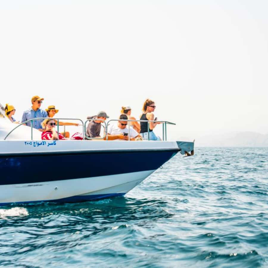 Muscat: Dolphin Watching and Snorkeling Trip - Who will enjoy this Muscat outing?