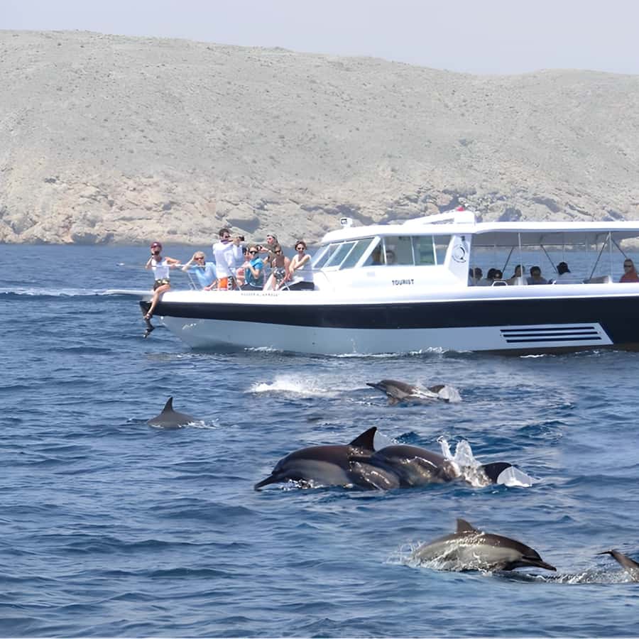 Muscat: Dolphin Watching and Snorkeling Trip - Should you book the dolphin and snorkeling trip?