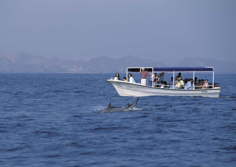 Muscat: Dolphin Watching Boat Amazing Trip - Who will enjoy this boat ride
