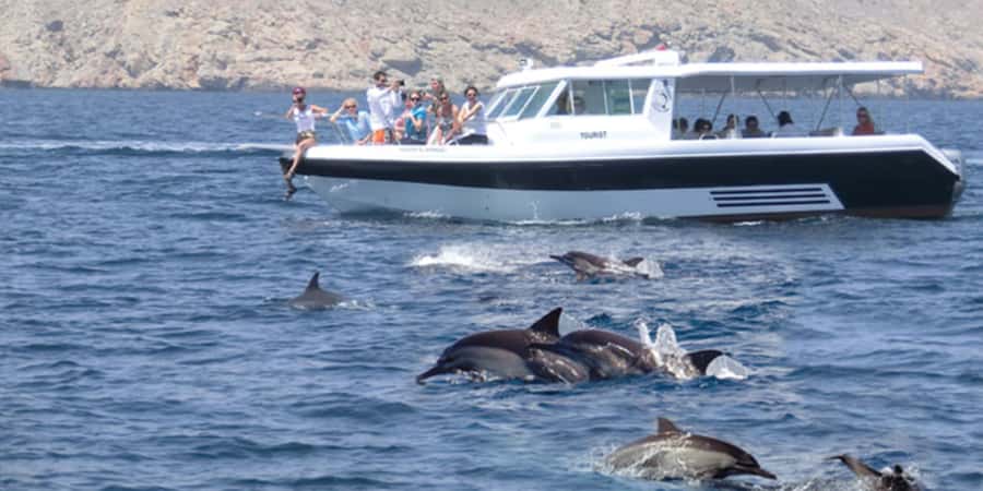 Muscat: Dolphin Watching Boat Tour - Two hours on Muscat’s open water