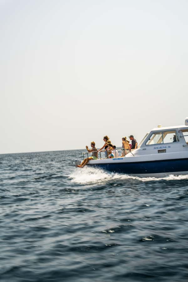 Muscat: Dolphin Watching Boat Trip with Snacks & Local Guide - Watching dolphins in their natural setting