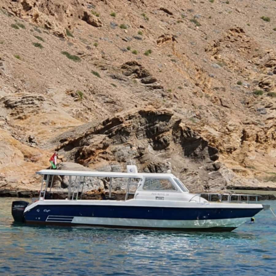 Muscat: Dolphin Watching Boat Trip with Snacks & Local Guide - Snacks, drinks, and comfort on board