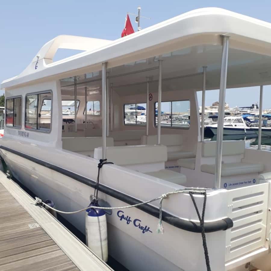 Muscat: Dolphin Watching Boat Trip with Snacks & Local Guide - Hotel pickup and the small logistics that matter