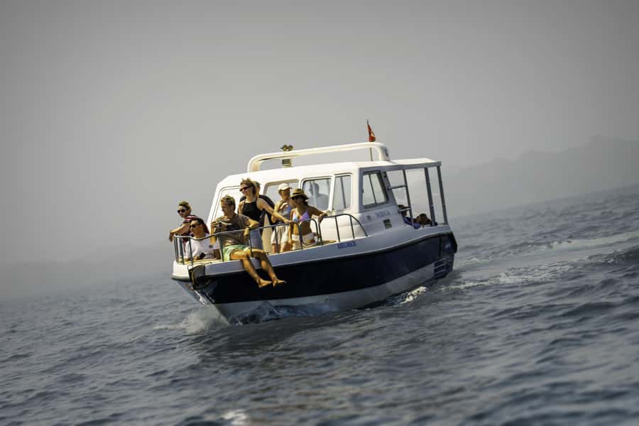 Muscat: Dolphin Watching Boat Trip with Snacks & Local Guide - The first minutes at sea